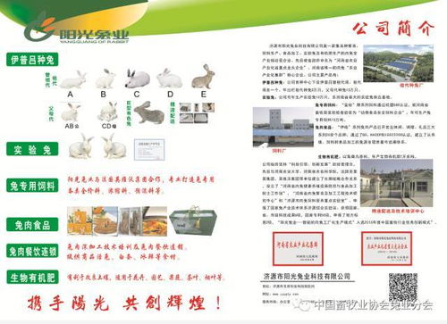第七屆2017中國兔業發展大會 行業精英齊聚，技術與服務共繪產業藍圖